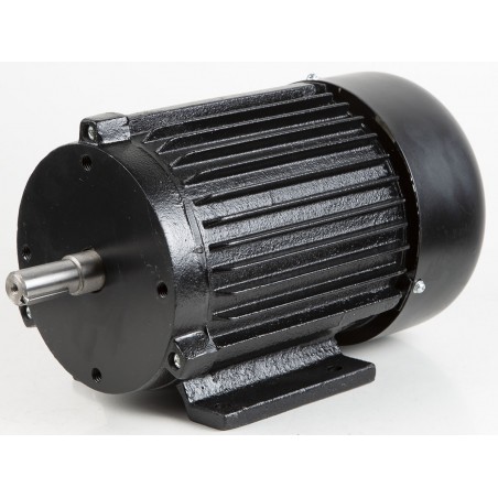 FM300 Electric motor  1500W/230V