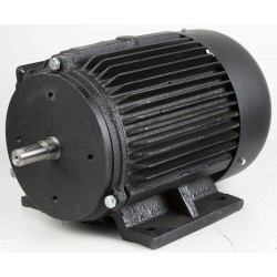 Elektriskā motor FM300/FM300S/FM300S5 putekļu nosūcējam 3750W/380V