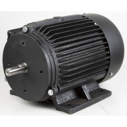 Electric motor for FM300S5...